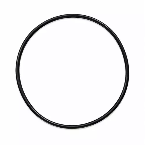 Oring kołnierza tylnego AA5PL 1